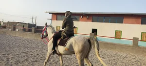 باشگاه سوارکاری رخش عمویی