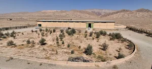 كارخانه روغن كشى زيتون آرادان
