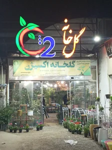 گلخانه اکسیژن 2
