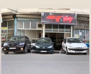 شرکت بیمه پاسارگاد شعبه میانه مرکزی