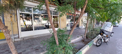 Shaan Company Office