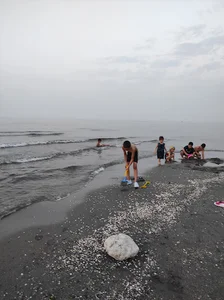 ساحل نوشهر