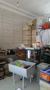 خدمات زنبور عسل منائی