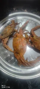 رستوران خرچنگ