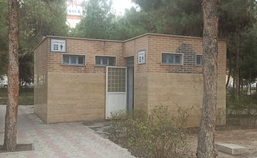 سرویس بهداشتی عمومی