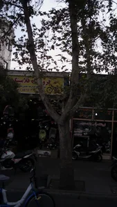 فروشگاه دوچرخه سه چرخه و ماشین شارژی فلامینگو 2