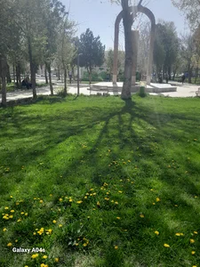 میدان رحمانی