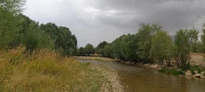 وحدت آباد