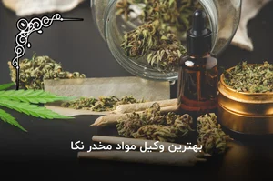 وکیل شهلا جمالی