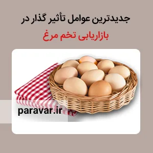 تخم مرغ یوسفی