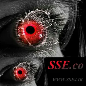 صنایع حفاظتی SSE