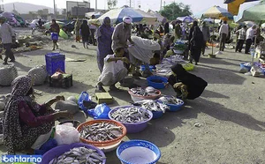 پنجشنبه بازار میناب 2