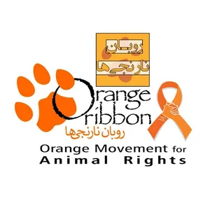 Orange Ribbon group