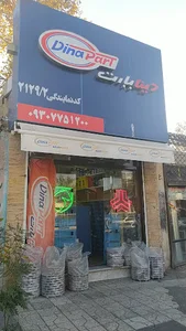 لوازم یدکی دینا پارت