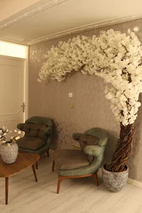 خانه پوست حیدری