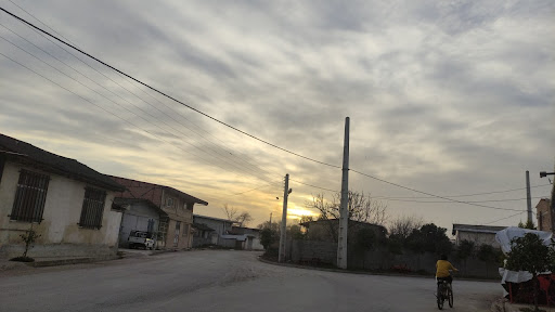 فروشگاه رنگ محمدی