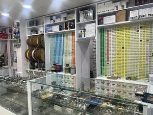 سیف الکترونیک