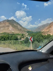 باغات شیت
