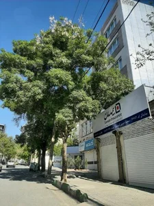 بیمه سامان 2