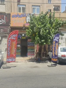 پلوس سازی آقای پلوس