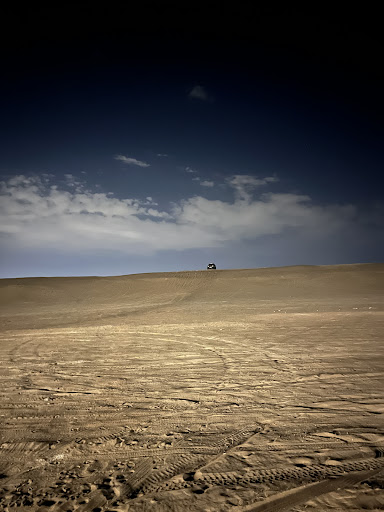 کویر کاراکال