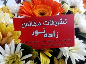 ظروف کرایه زاده نور