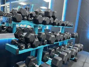 باشگاه کلاسیک پرو