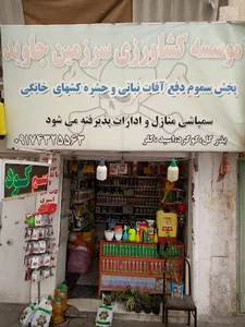 سرزمین جاوید