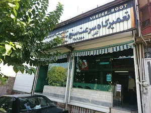 سرعت سنج مقیمی