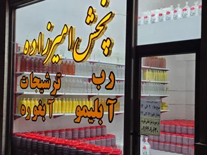 پخش امیرزاده 4