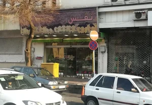 گلفروشی نفس 3