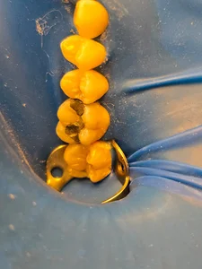 dr zekavat dentistry مطب دندانپزشکی دکتر ذکاوت