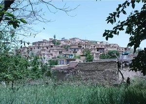 ابنبات سازی حسن زاده
