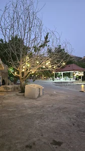 یاسوج