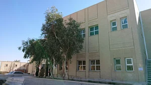 ساختمان سلف سرویس