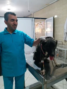 کلینیک دامپزشکی دکتر جعفری
