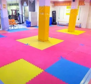 باشگاه ورزشی دلفین سفید 3