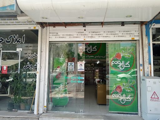 سبزی مارکت گل پونه