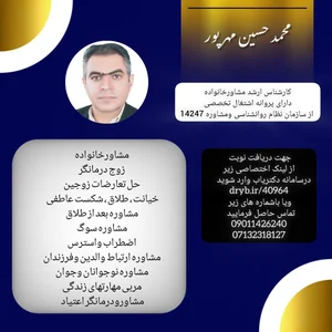 محمدحسین مهرپور 2