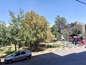 بوستان حجاری