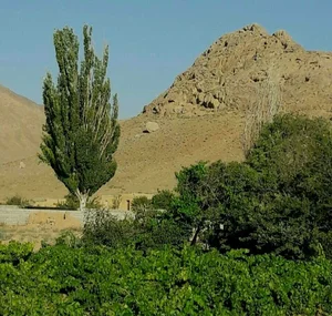 کوه چهل دخترون علویجه