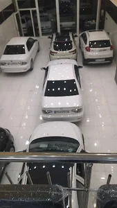 اتو کارال