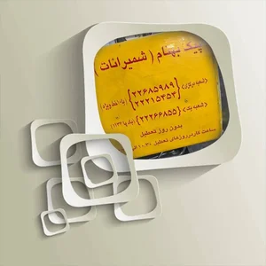 پیک موتوری بهنام 2