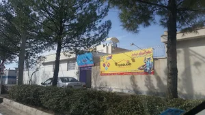 سازه رباتیک هامین