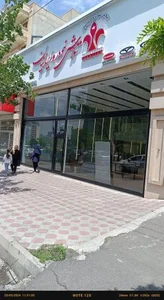 تلاش خودرو ایرانیان 3