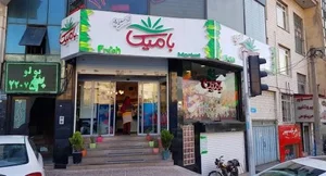 بامیکا 2