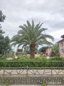 خانه کارگر