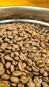 آکوکافه