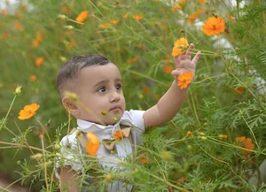 استودیو برتر