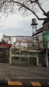 دنیای گل بادلی 3